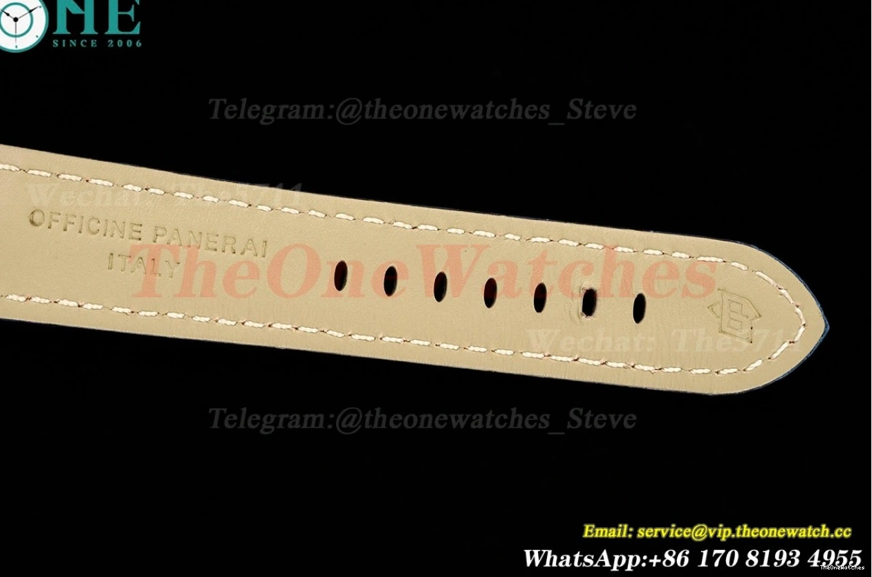 LE A9010 Dial PAM1313 44mm TTF Luminor SS Blue 0120